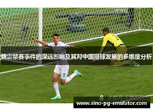 魏震禁赛事件的深远影响及其对中国排球发展的多维度分析 魏震禁赛事件的深远影响及其对中国排球发展的多维度分析