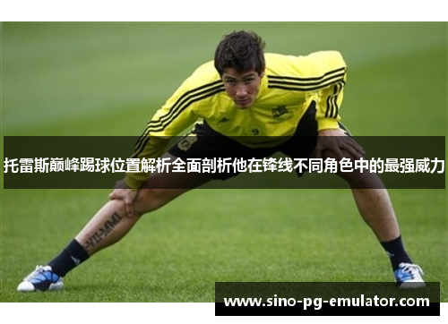 托雷斯巅峰踢球位置解析全面剖析他在锋线不同角色中的最强威力