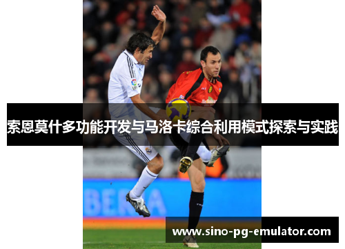 索恩莫什多功能开发与马洛卡综合利用模式探索与实践 索恩莫什多功能开发与马洛卡综合利用模式探索与实践
