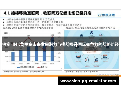 探索HNK戈里察未来发展潜力与挑战提升国际竞争力的战略路径